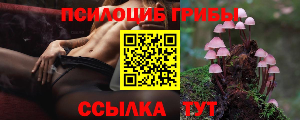 Волжский  Галлюциногенные грибы мухоморы  Вход с VPN 